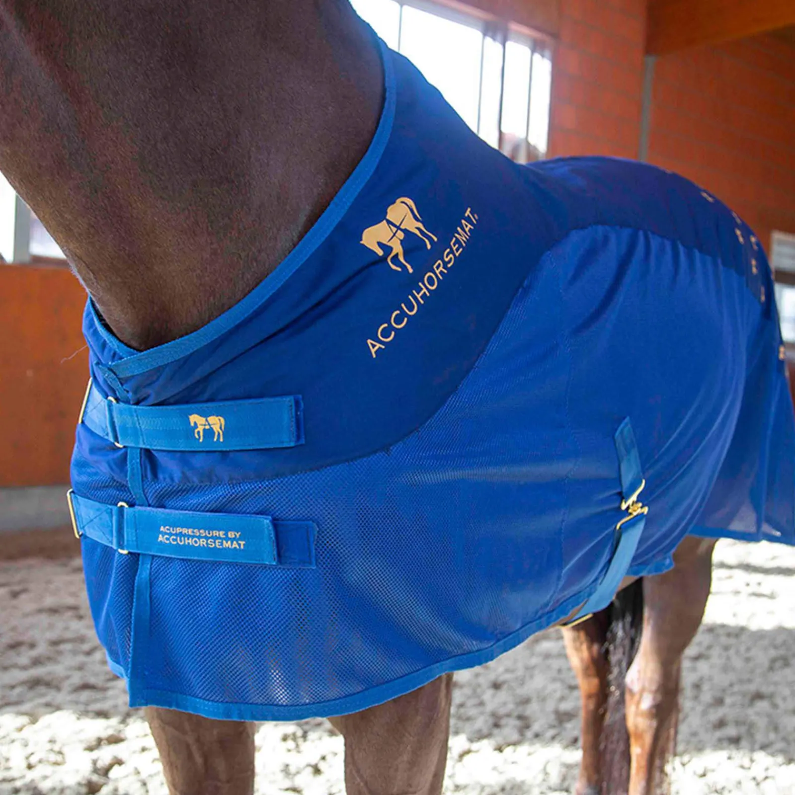 Online Cooler Therapy Rugs