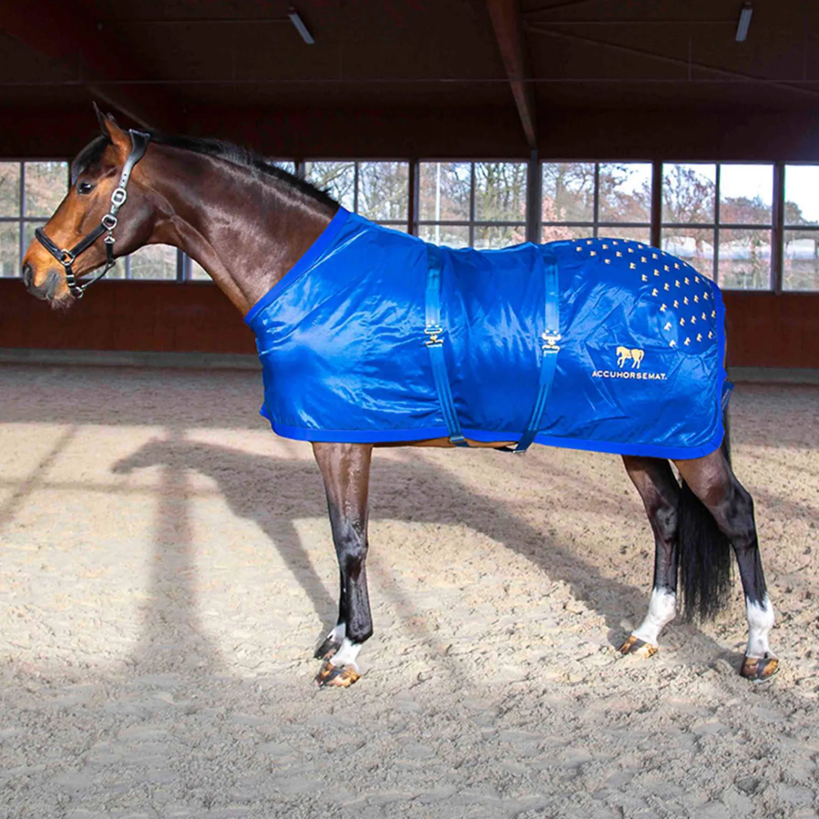 Best Original Therapy Rugs
