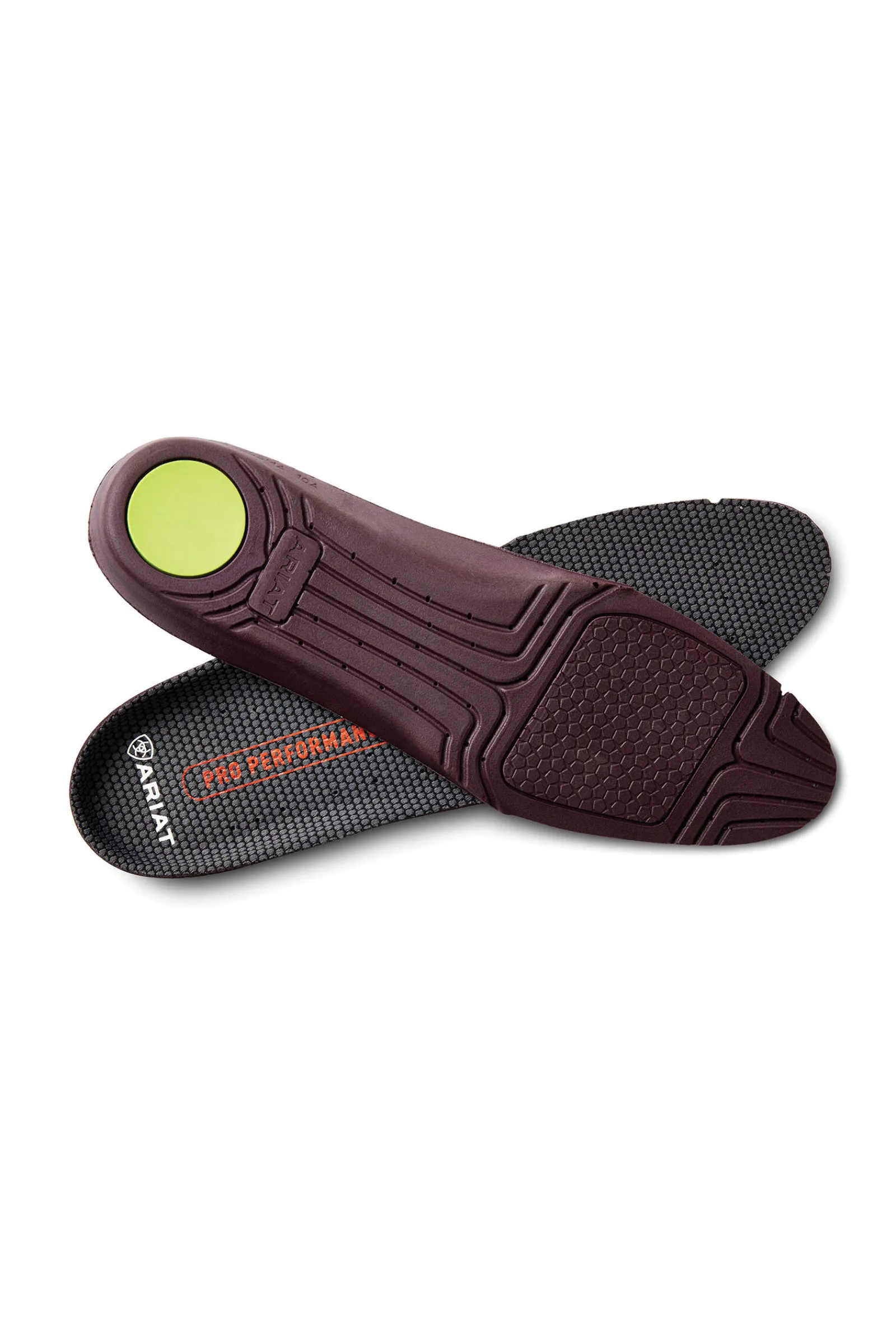 Fashion Women Footwear Accessories
