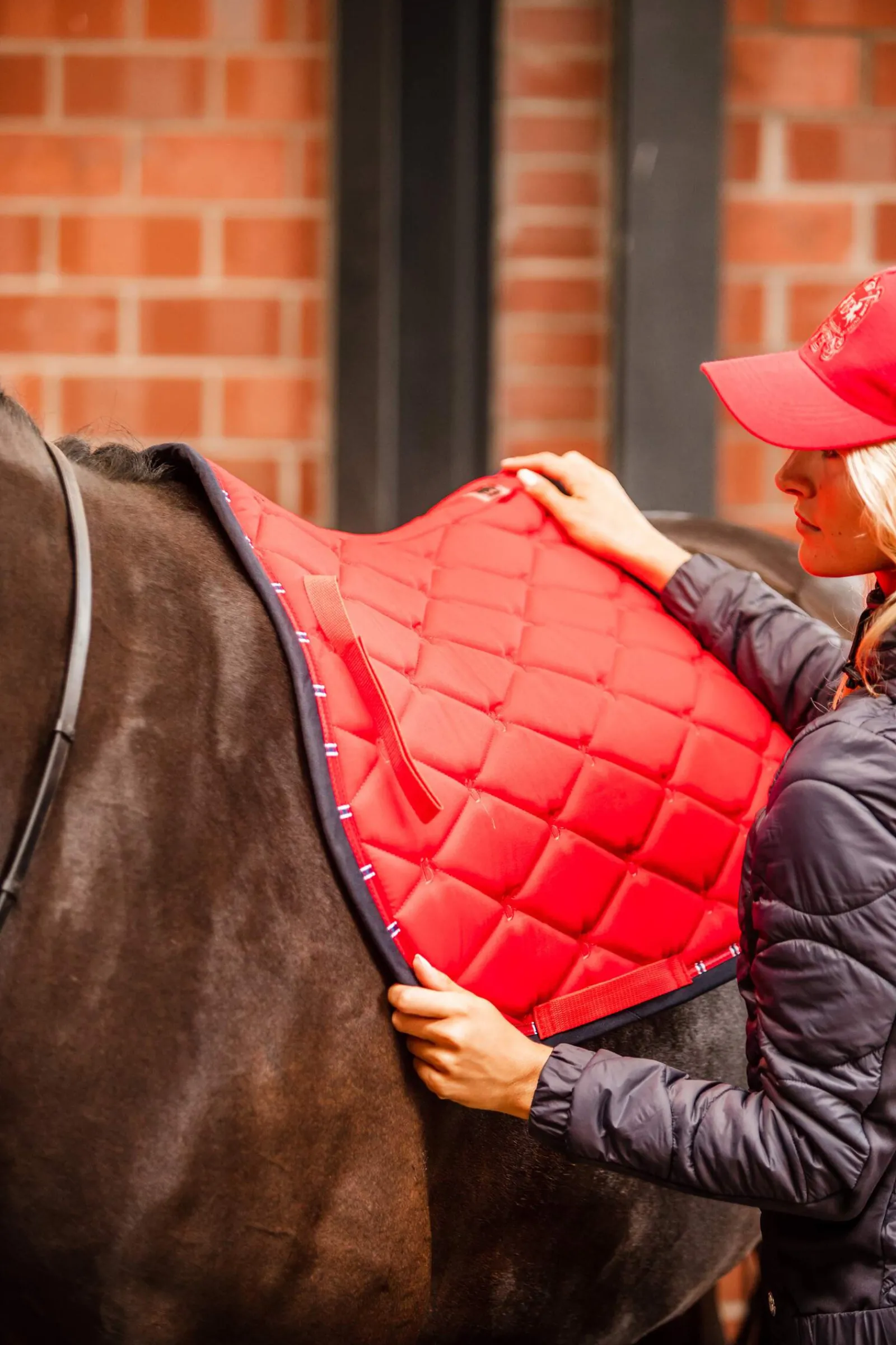 Discount B Vertigo Amory All Purpose Saddle Pad with Monogram Embroidery Pony Saddle Pads|All Purpose & Jumping Saddle Pads