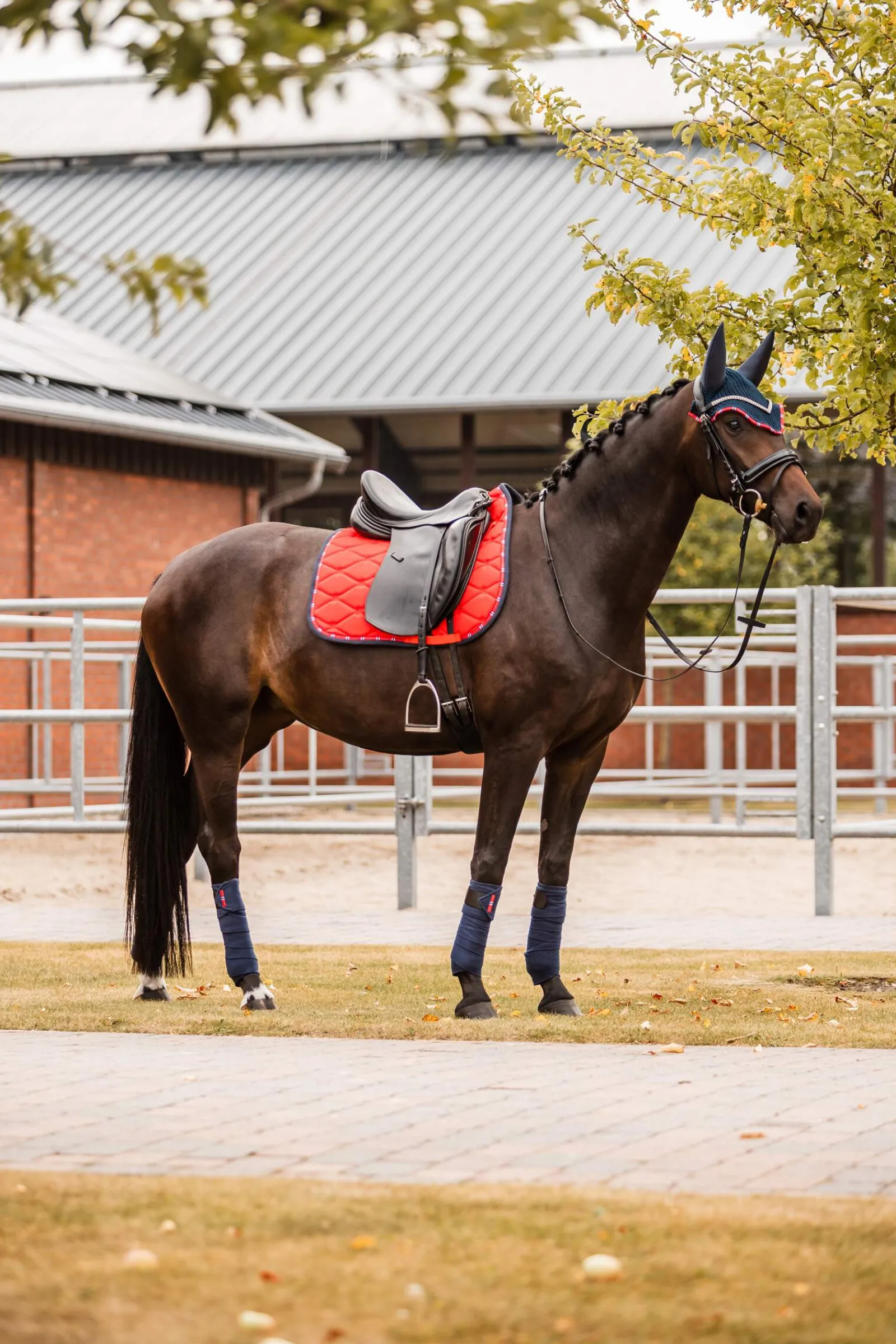 Hot B Vertigo Amory Dressage Saddle Pad with Monogram Embroidery Dressage Saddle Pads