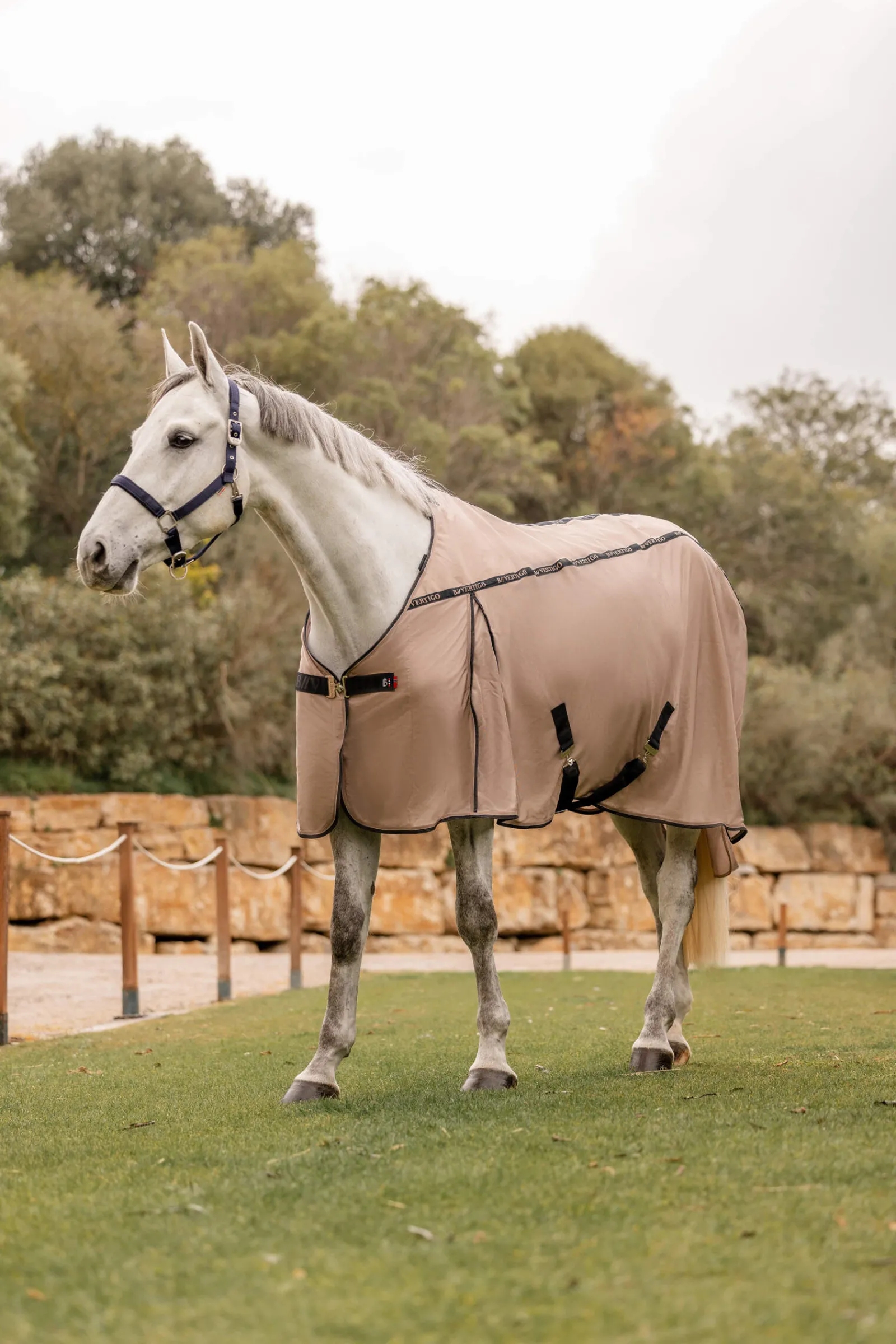 Sale B Vertigo Combo Fly Rug with Detachable Neck and UV Protection Fly Rugs|Fly Rugs
