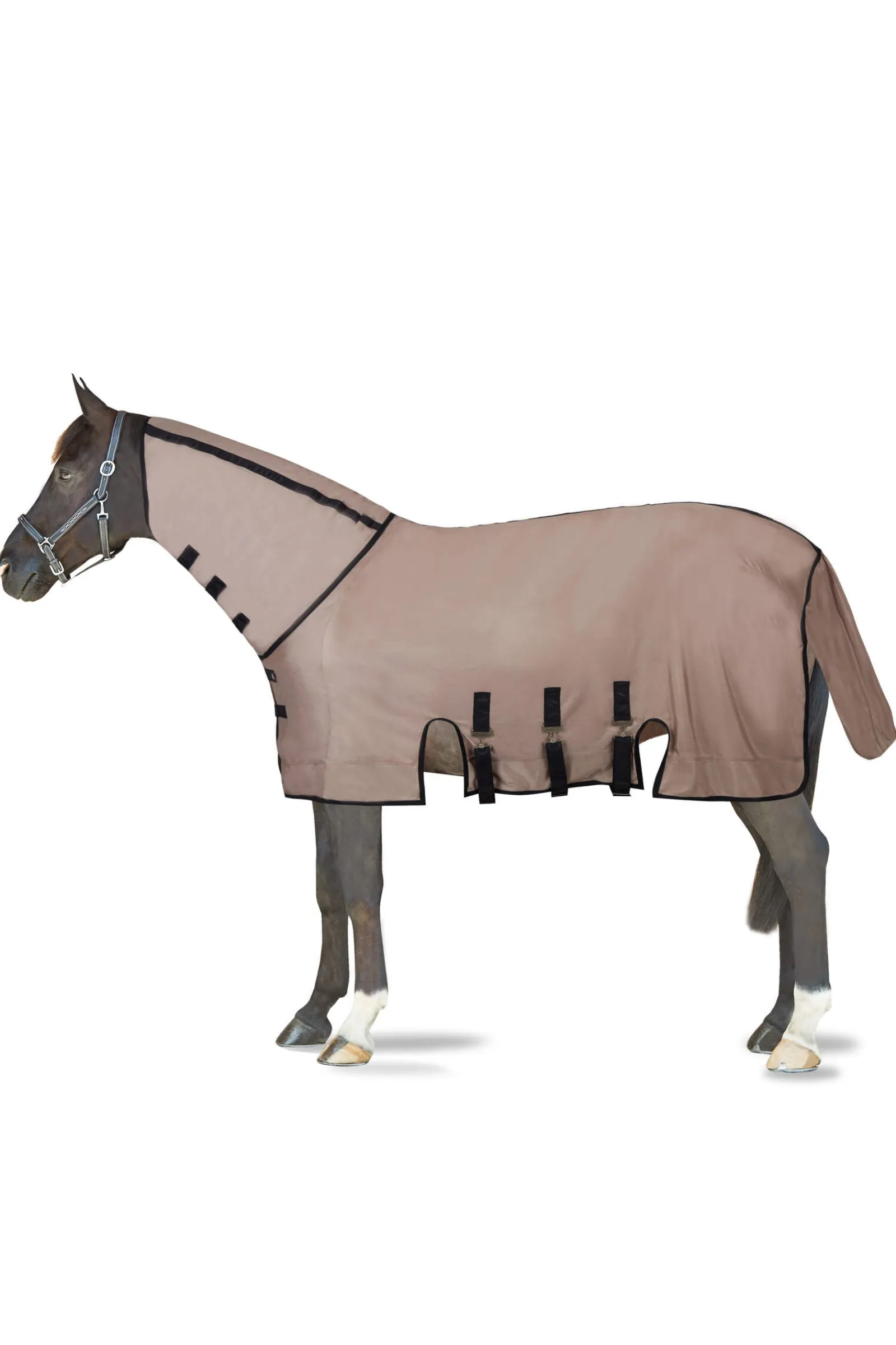 Fashion B Vertigo Delux Fly Rug with Detachable Neck and UV Protection Fly Rugs|Fly Rugs