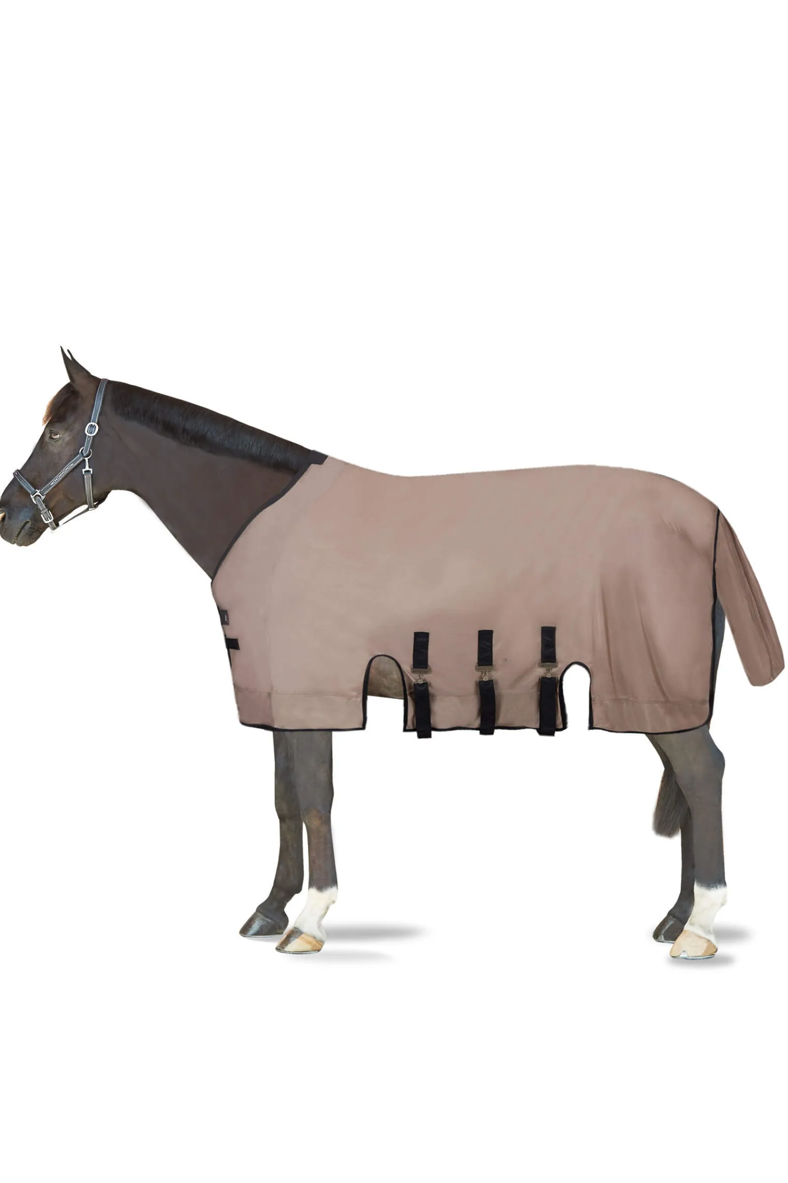 Fashion B Vertigo Delux Fly Rug with Detachable Neck and UV Protection Fly Rugs|Fly Rugs
