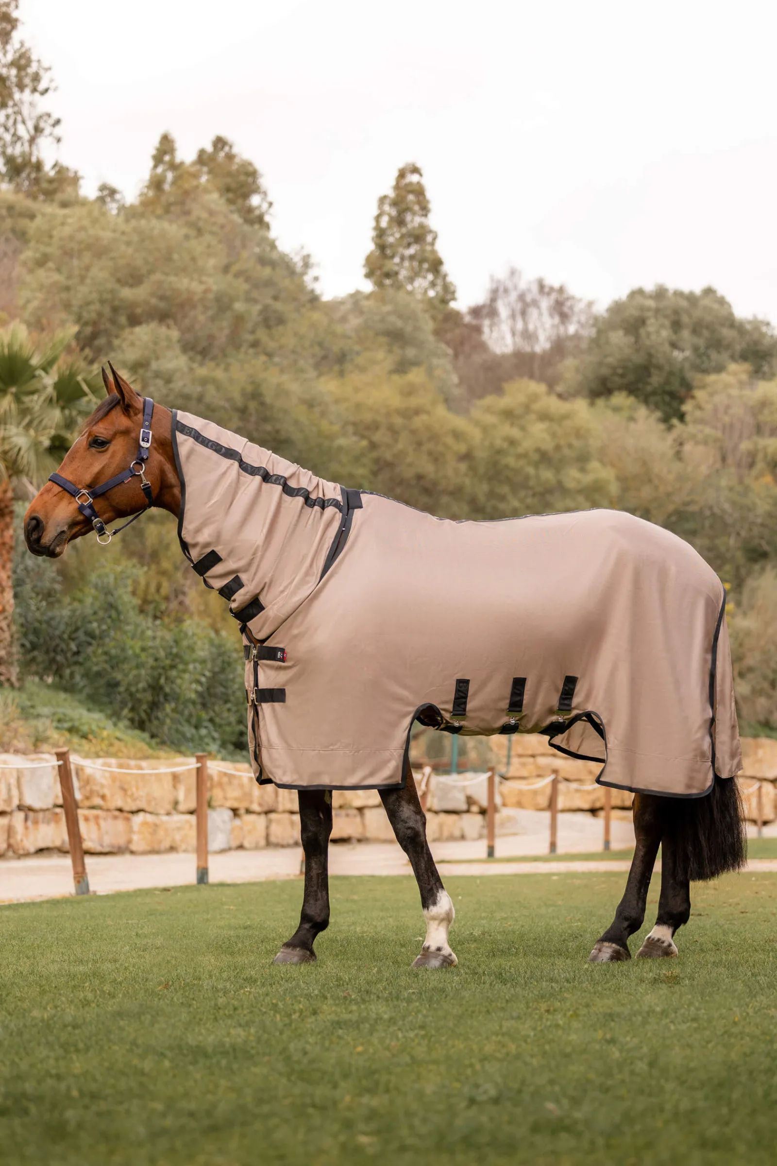 Fashion B Vertigo Delux Fly Rug with Detachable Neck and UV Protection Fly Rugs|Fly Rugs
