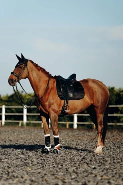 Discount B Vertigo Drew Dressage Saddle Pad Dressage Saddle Pads