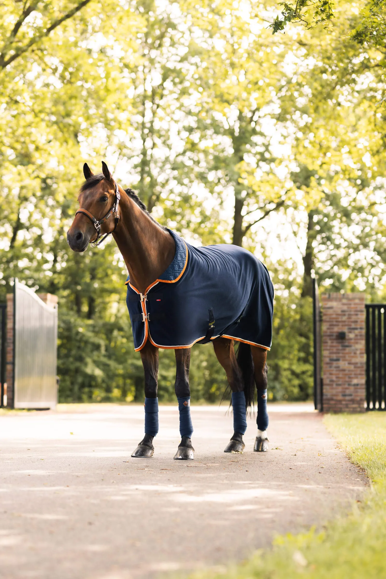 Clearance B Vertigo Evolve Fleece Cooler Fleece Horse Rugs & Cooler Rugs