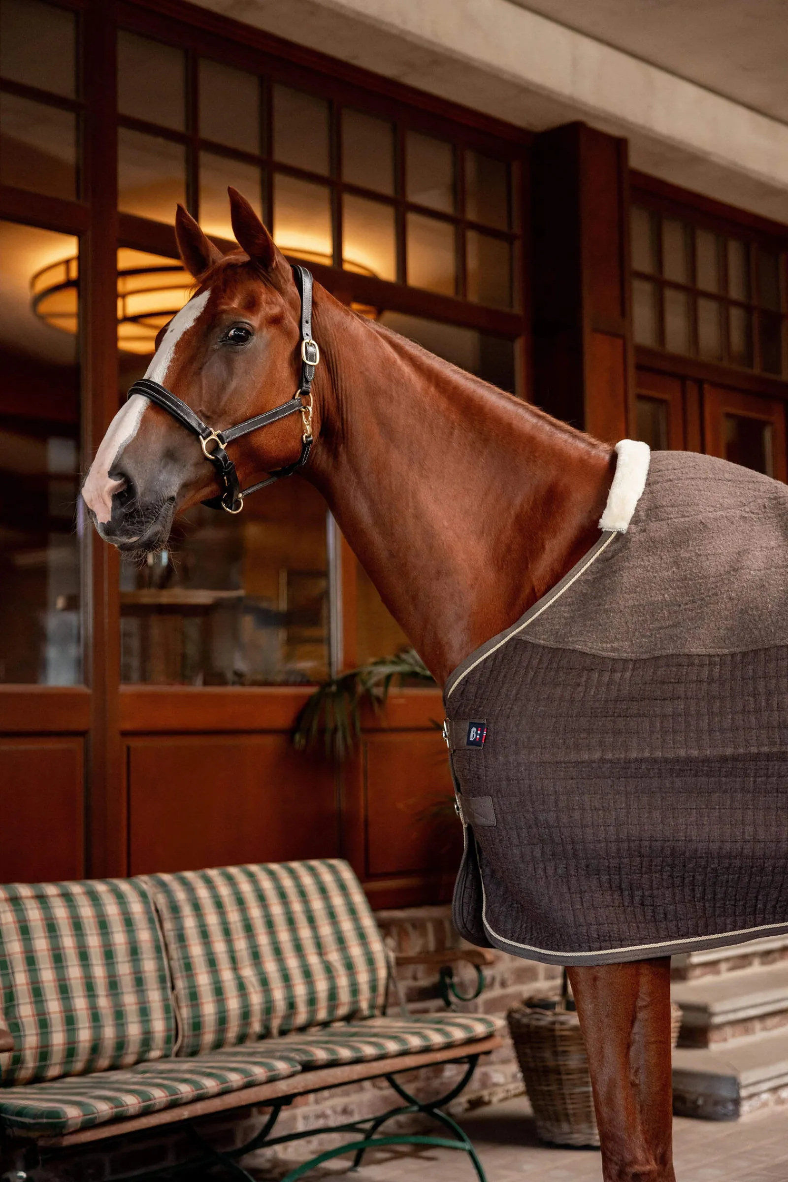 Hot B Vertigo High Altitude Wool Mix Cooler Fleece Horse Rugs & Cooler Rugs