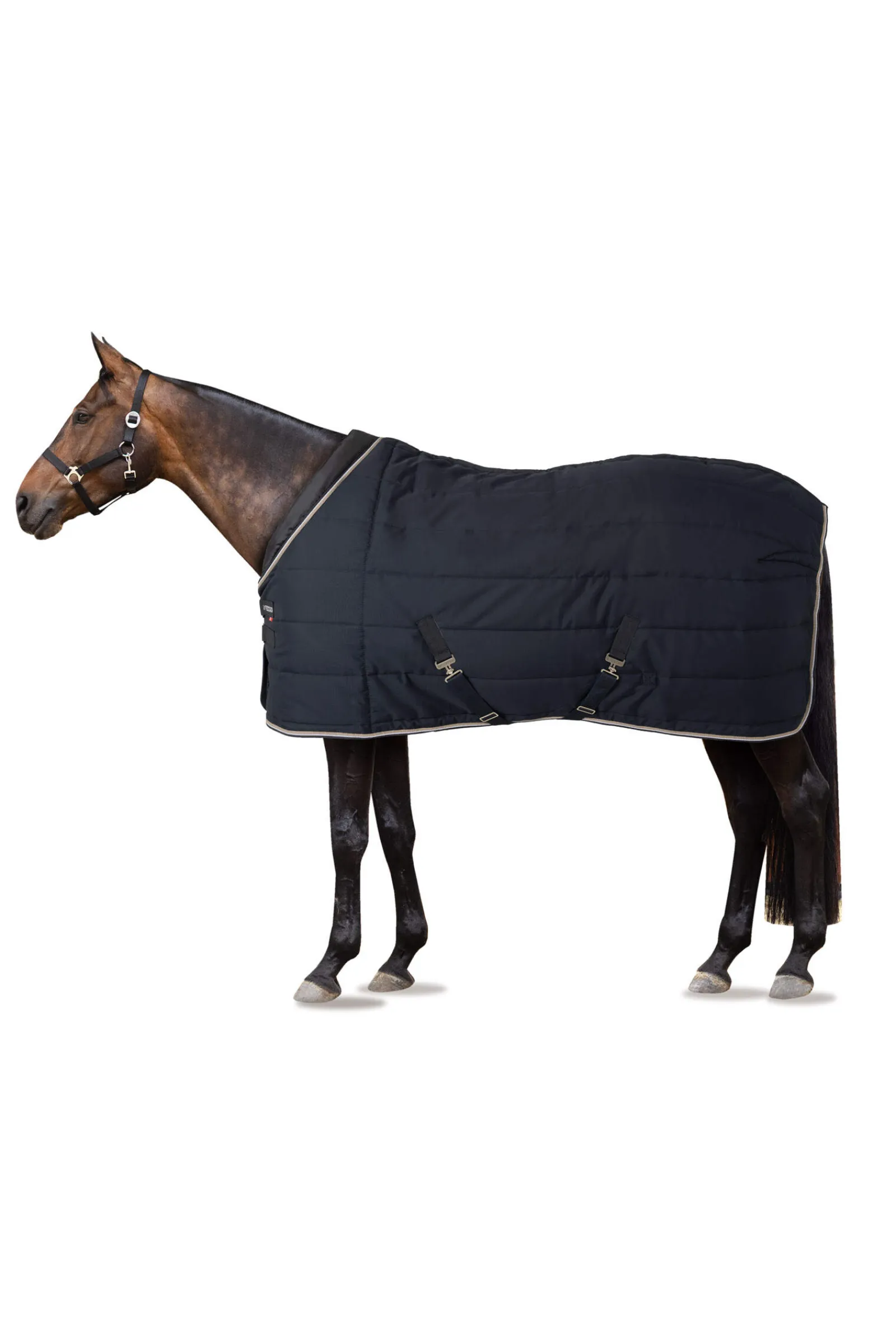Fashion B Vertigo Tim Stable Rug, 400g Stable Rugs & Liners