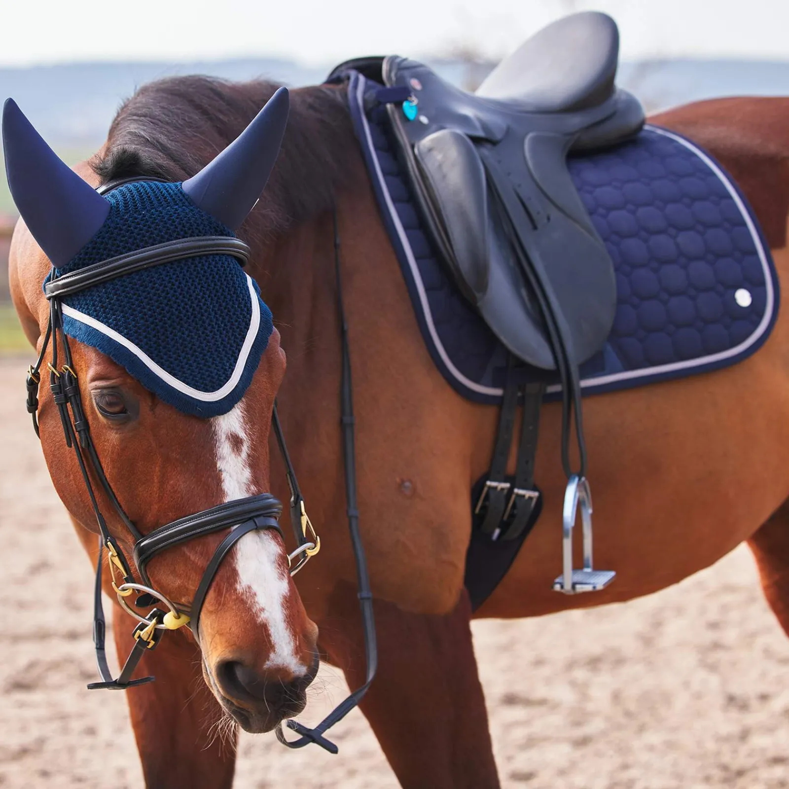 Best B Vertigo Zurich Dressage Saddle Pad Dressage Saddle Pads
