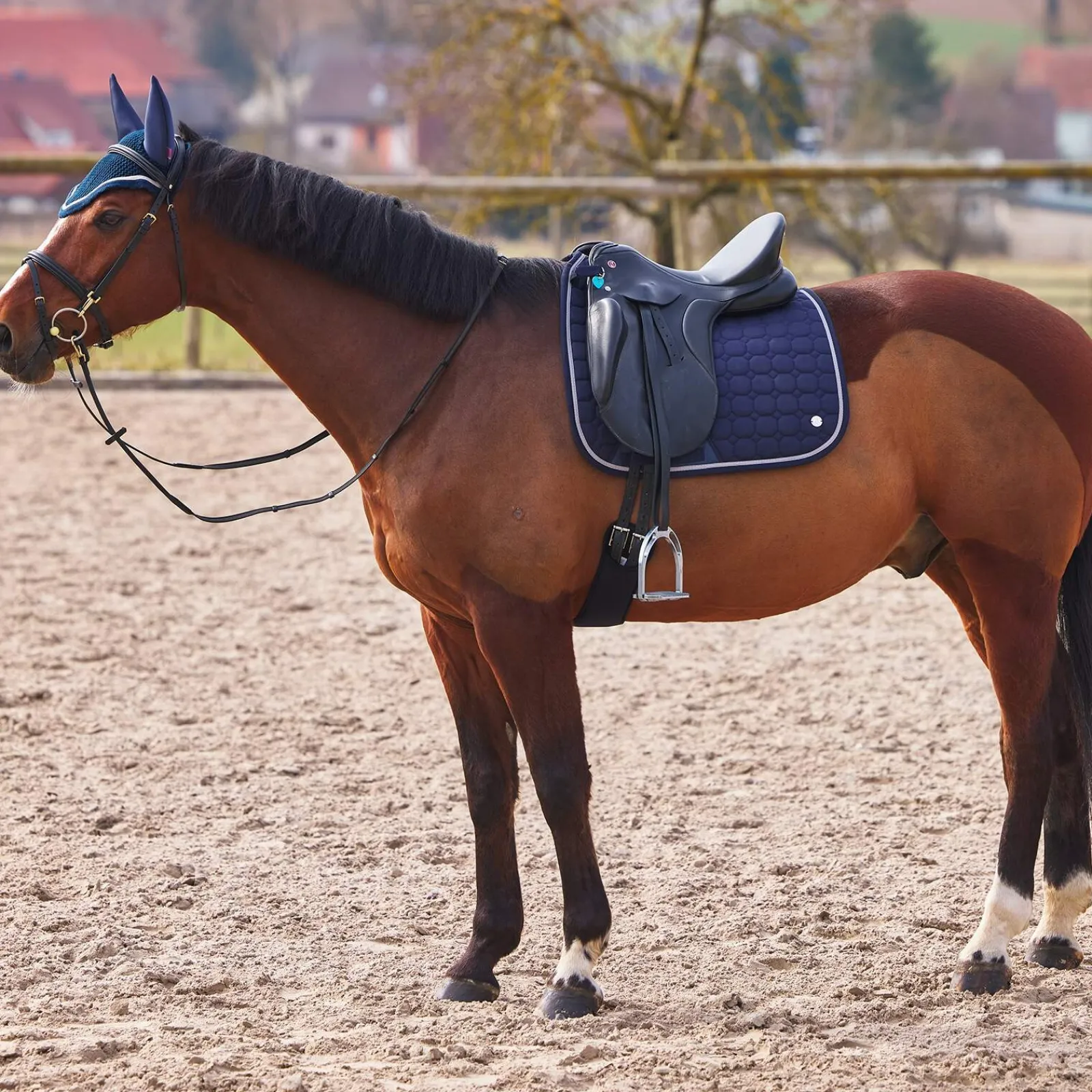 Best B Vertigo Zurich Dressage Saddle Pad Dressage Saddle Pads