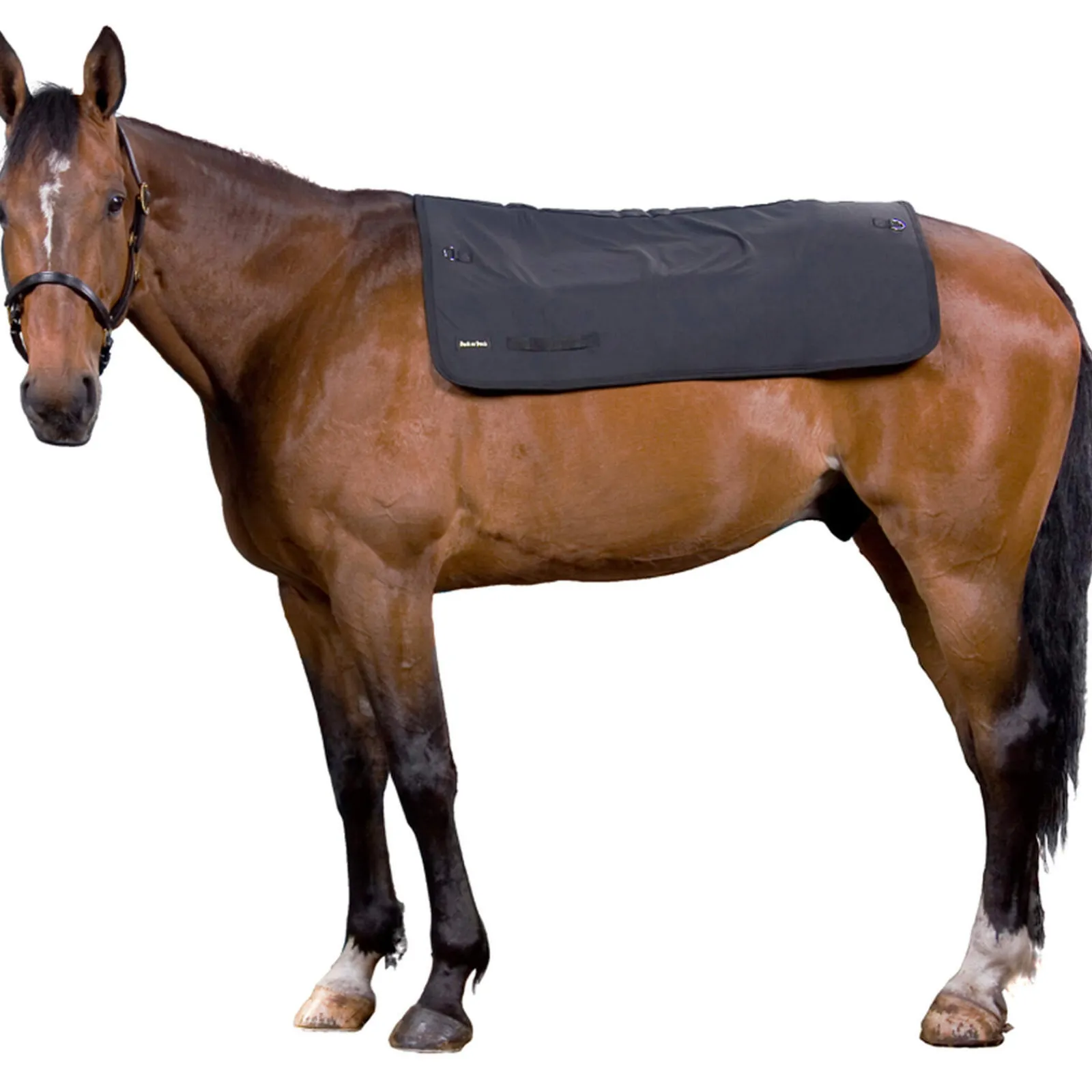 Hot Back on Track Back Warmer, 100cm x 100cm Saddle Pad Accessories