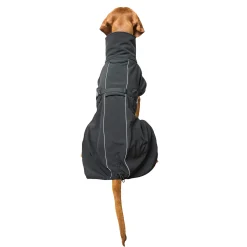 Discount Back on Track Bark All-Round Dog Coat, 55-65cm Dog Rugs & Coats