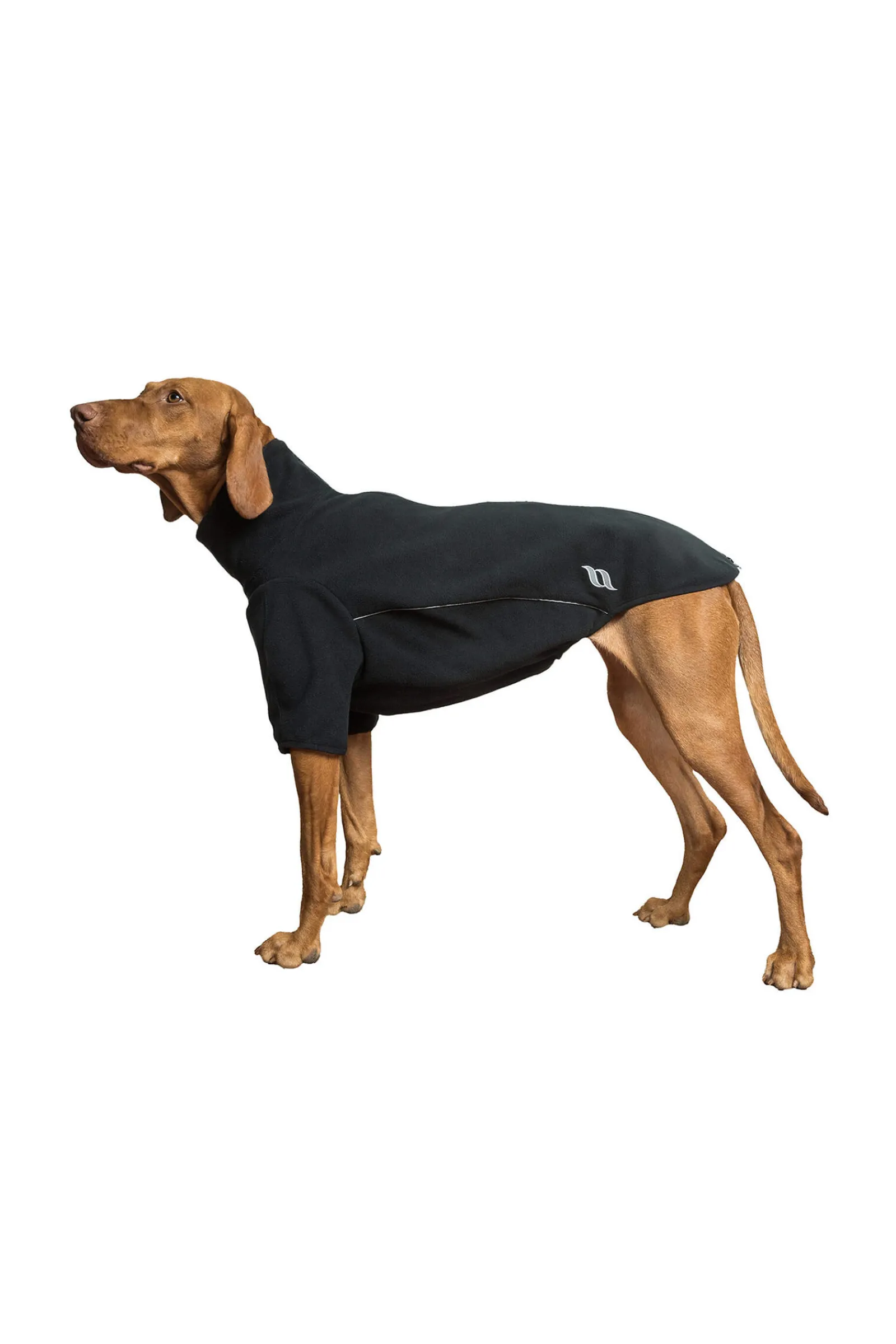 Online Back on Track Cassie All-Weather Jumper, 25-30cm Dog Rugs & Coats