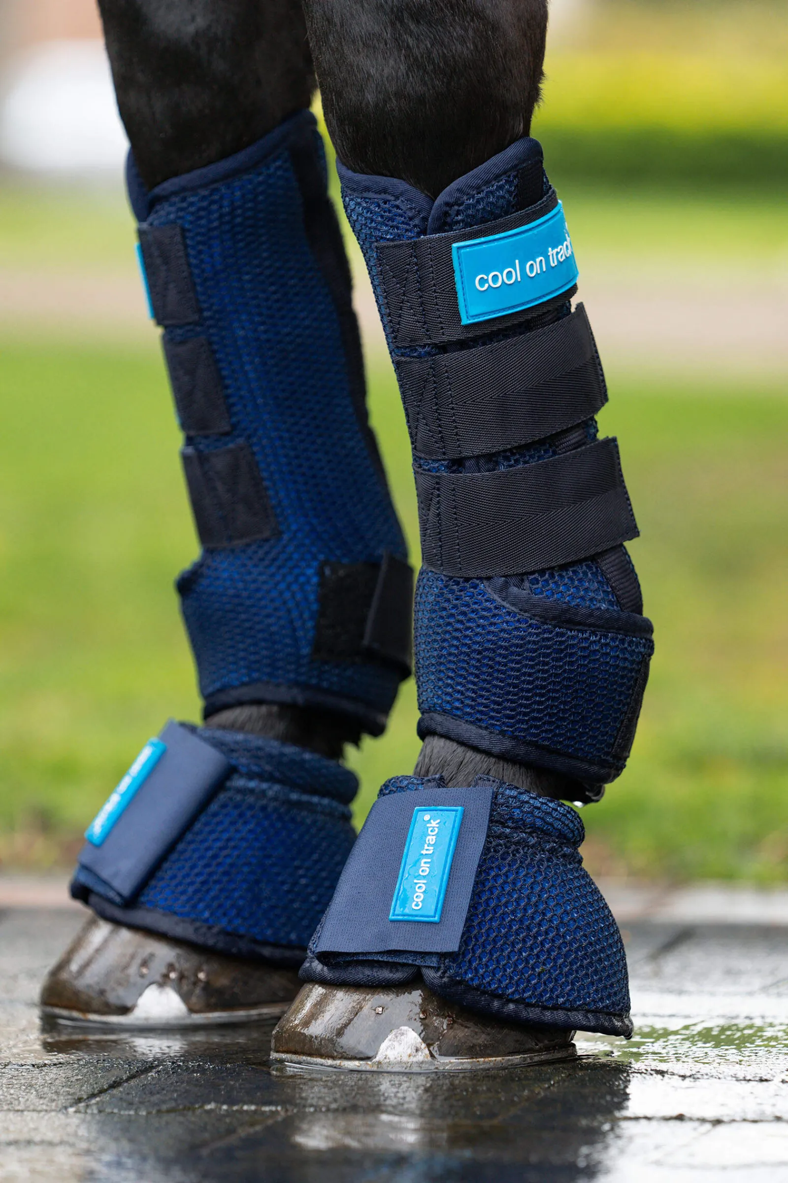 Discount Back on Track Cool on Track Quick wraps Horse Boots