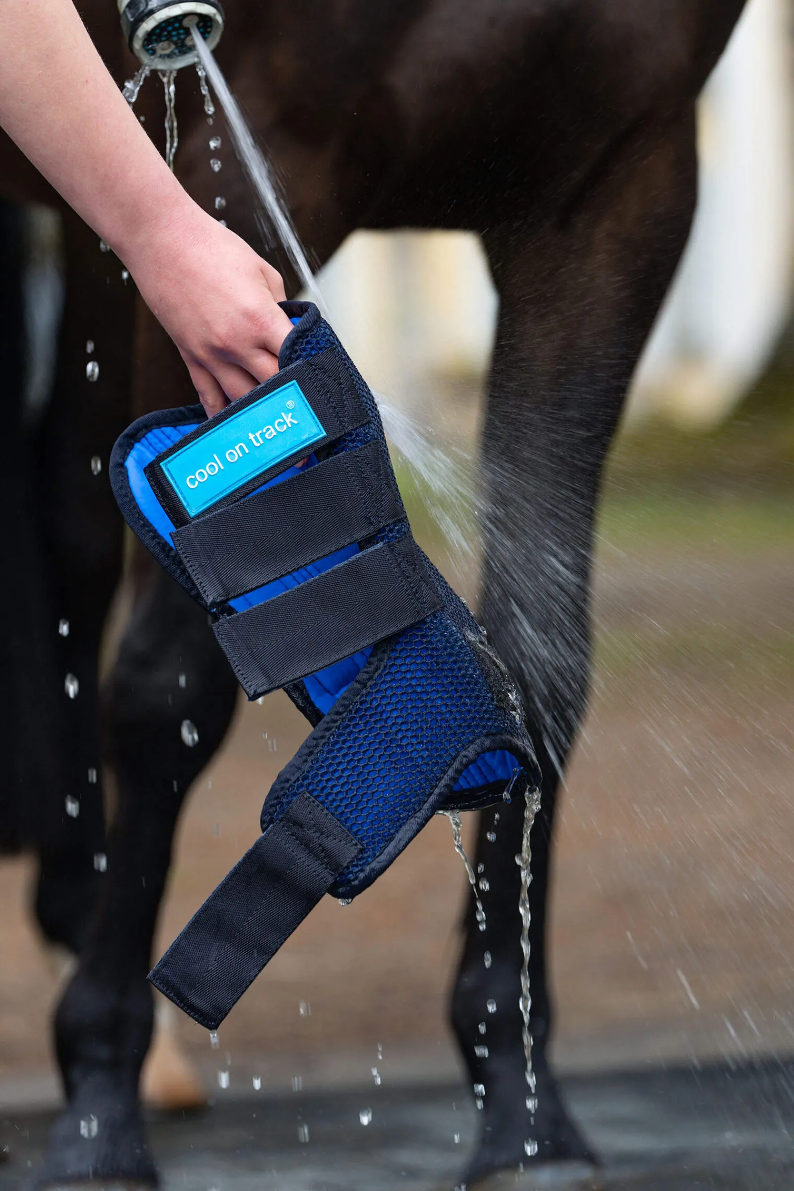 Discount Back on Track Cool on Track Quick wraps Horse Boots