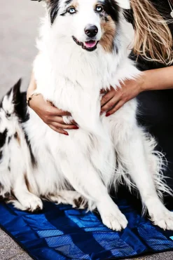 Fashion Back on Track Cooling Mat Dog Rugs & Coats
