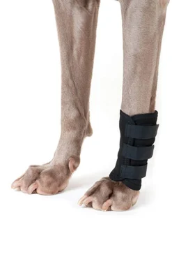 Sale Back on Track Dog Leg Wrap (1 piece) Training Products For Dogs