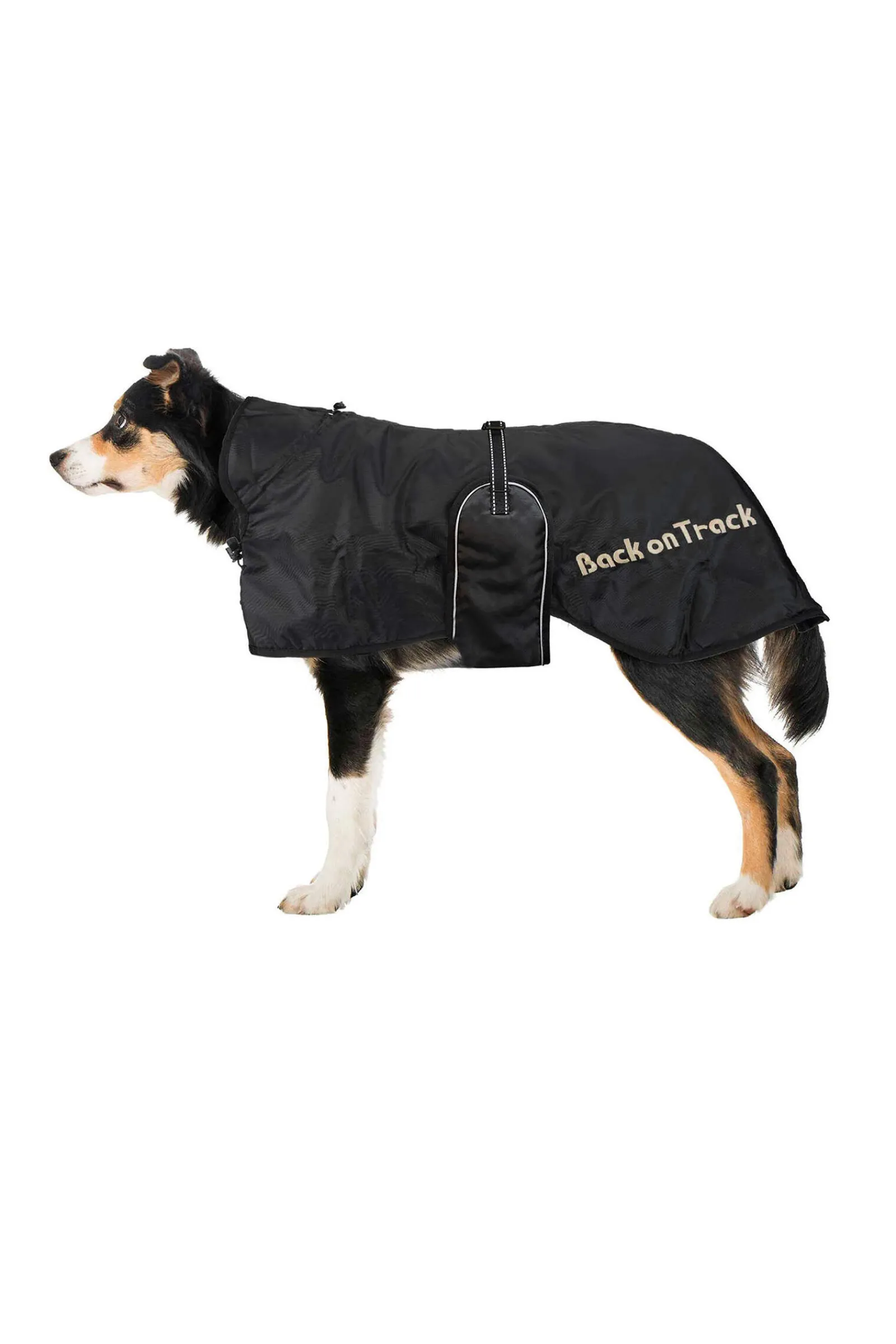 Hot Back on Track Dog Rug 43-59 Dog Rugs & Coats