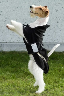 Clearance Back on Track Dog Rug Fleece, 55-74 Dog Rugs & Coats