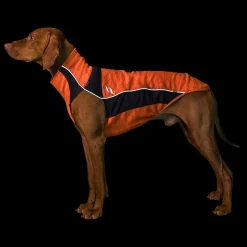Sale Back on Track Eddie High-Visibility Jumper, 50-55cm Dog Rugs & Coats