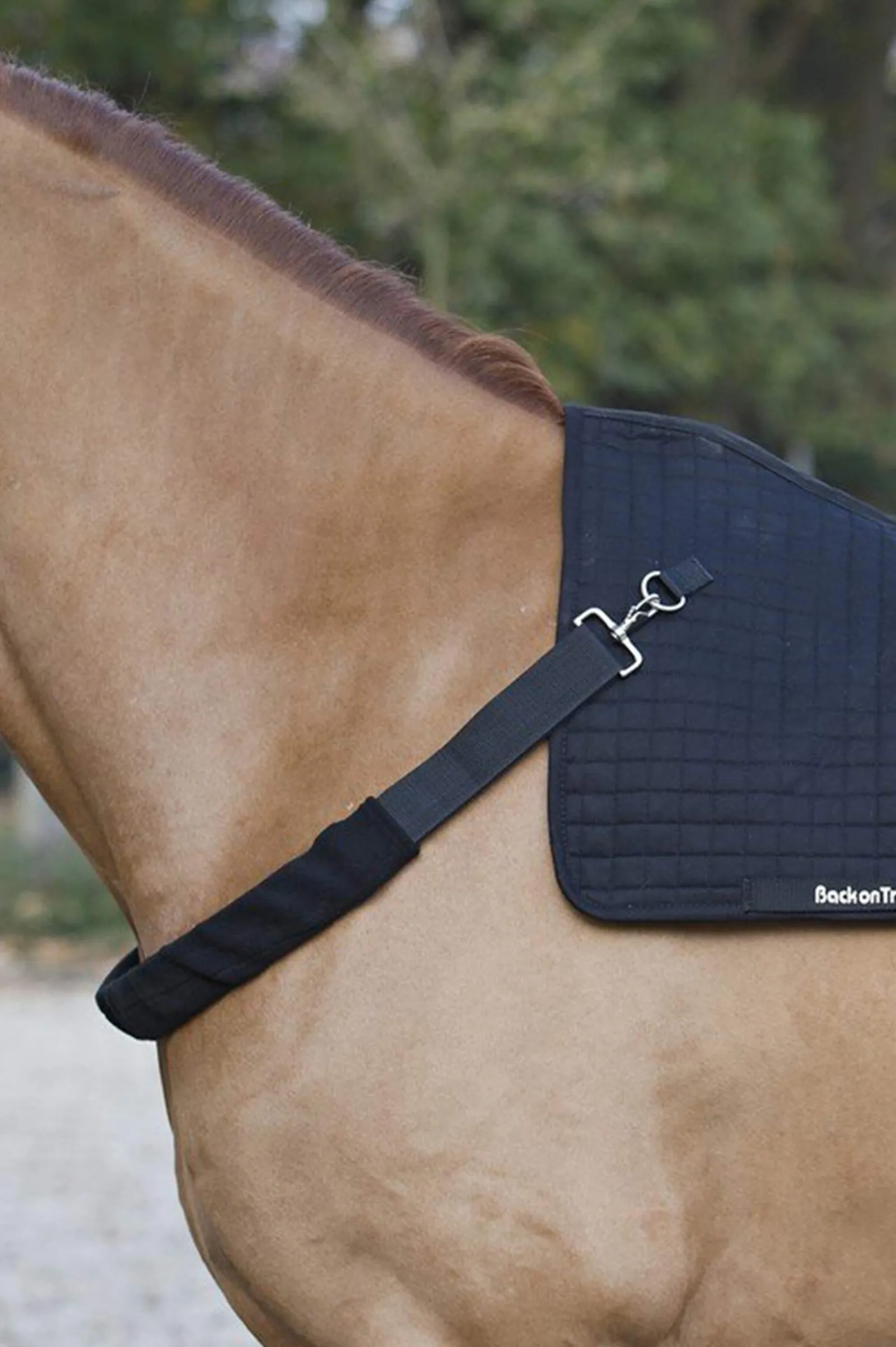 New Back on Track Harness Horse Rug Accessories