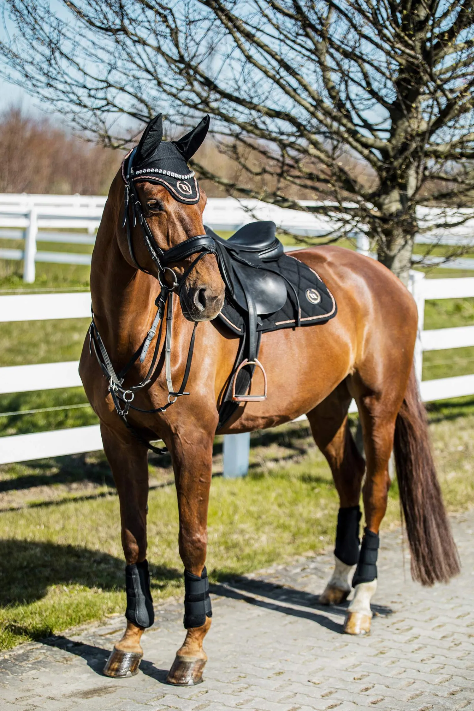 Clearance Back on Track Haze Collection Saddle Pad Jumping Pony Saddle Pads|All Purpose & Jumping Saddle Pads