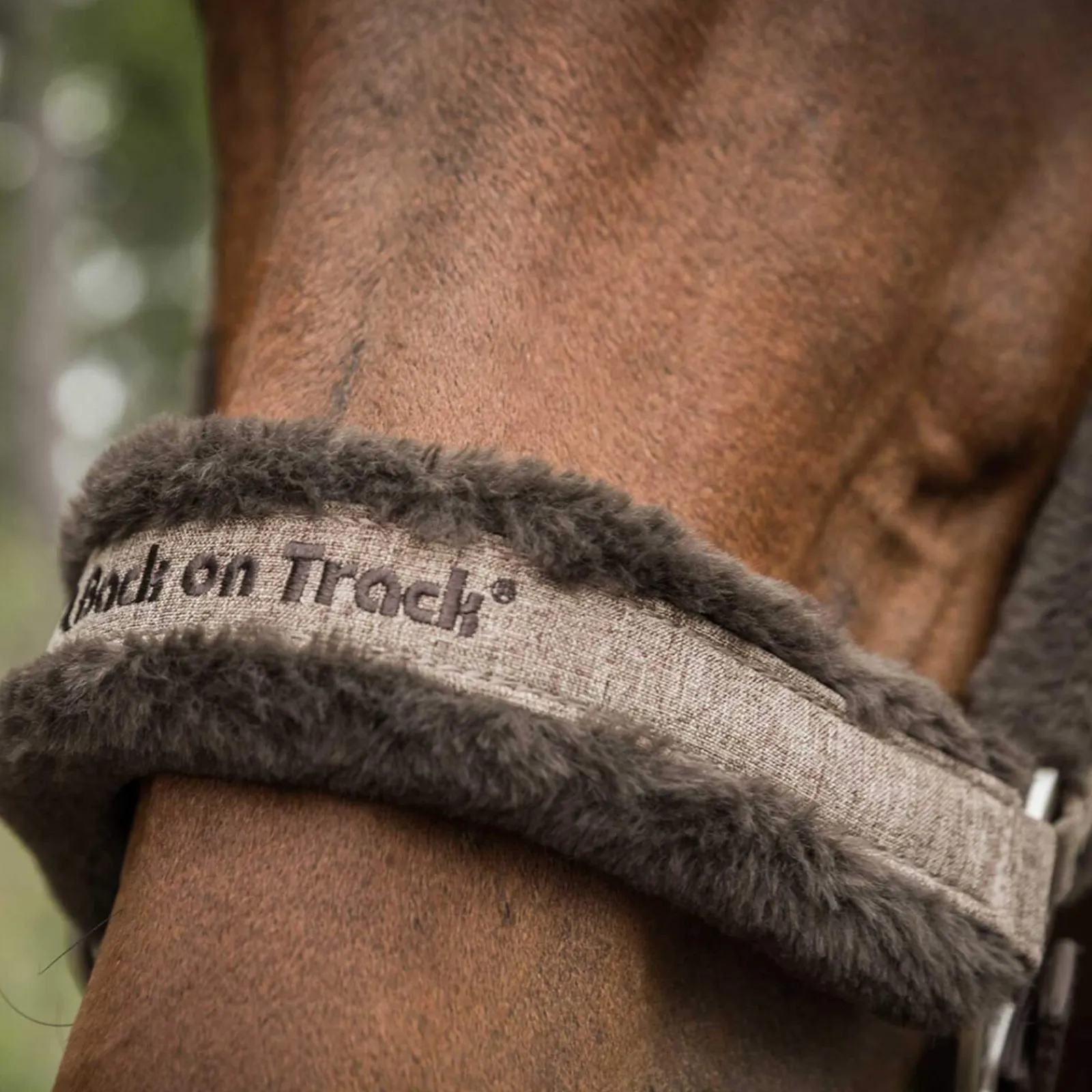 Best Back on Track Haze Collection Halter Headcollars & Halters