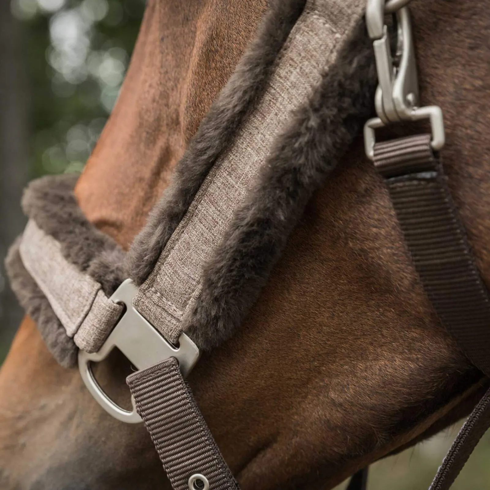 Best Back on Track Haze Collection Halter Headcollars & Halters