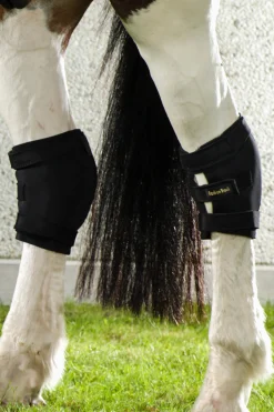 Best Back On Track Hock Boot, Right Hock & Knee Boots