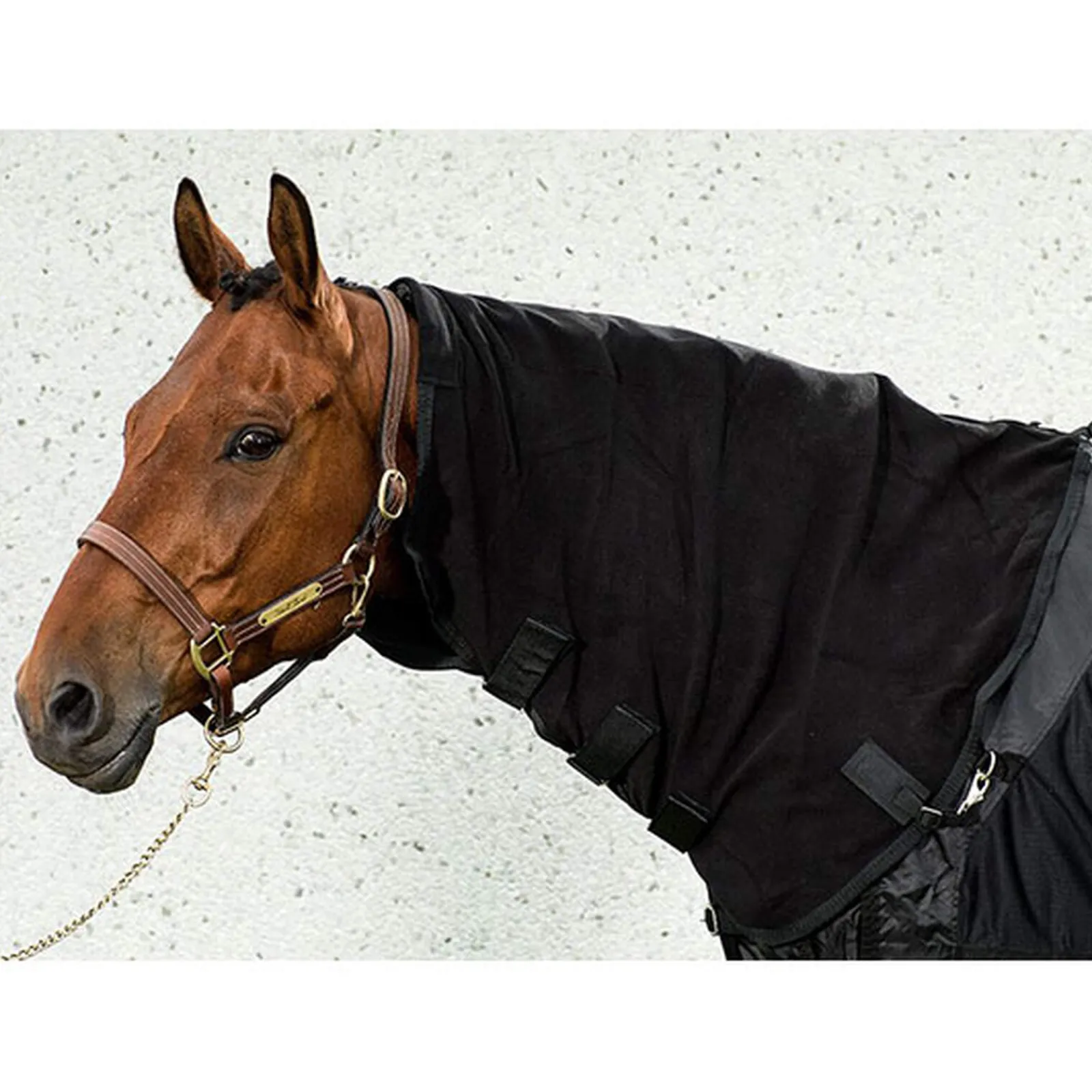 Online Back on Track Neck for Supreme Fleece Rug Horse Hoods