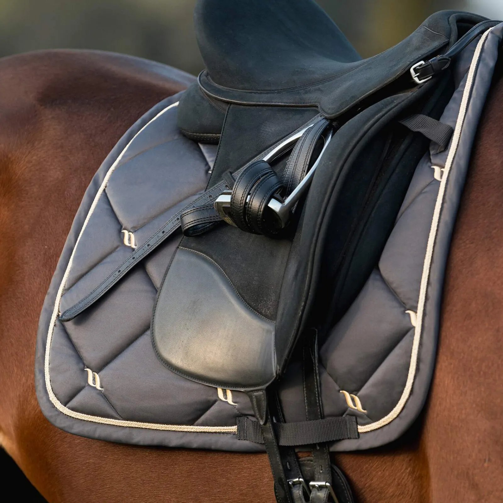 Outlet Back on Track Night Collection Dressage Saddle Pad Dressage Saddle Pads