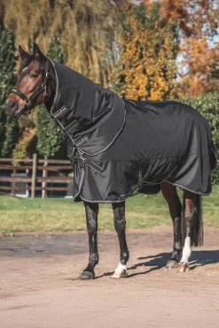 Best Back on Track Obsidian Turnout Rug With Detachable Neck, 150g Medium & Heavyweight Turnout Rugs