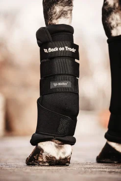 Discount Back On Track Quick Royal Leg Wraps Horse Boots