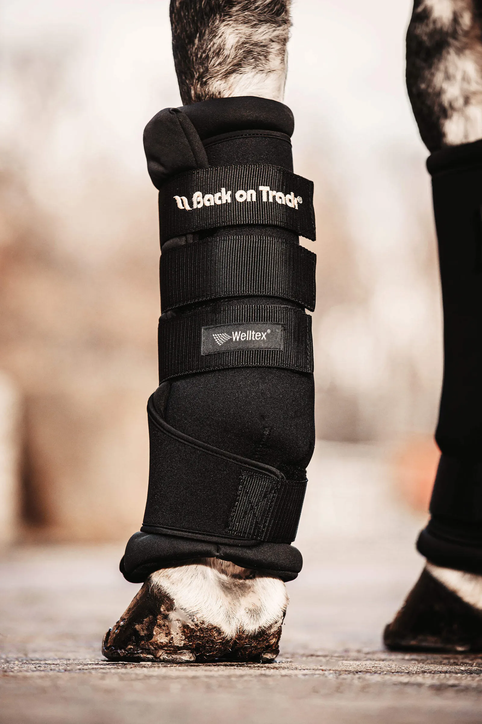 Discount Back On Track Quick Royal Leg Wraps Horse Boots