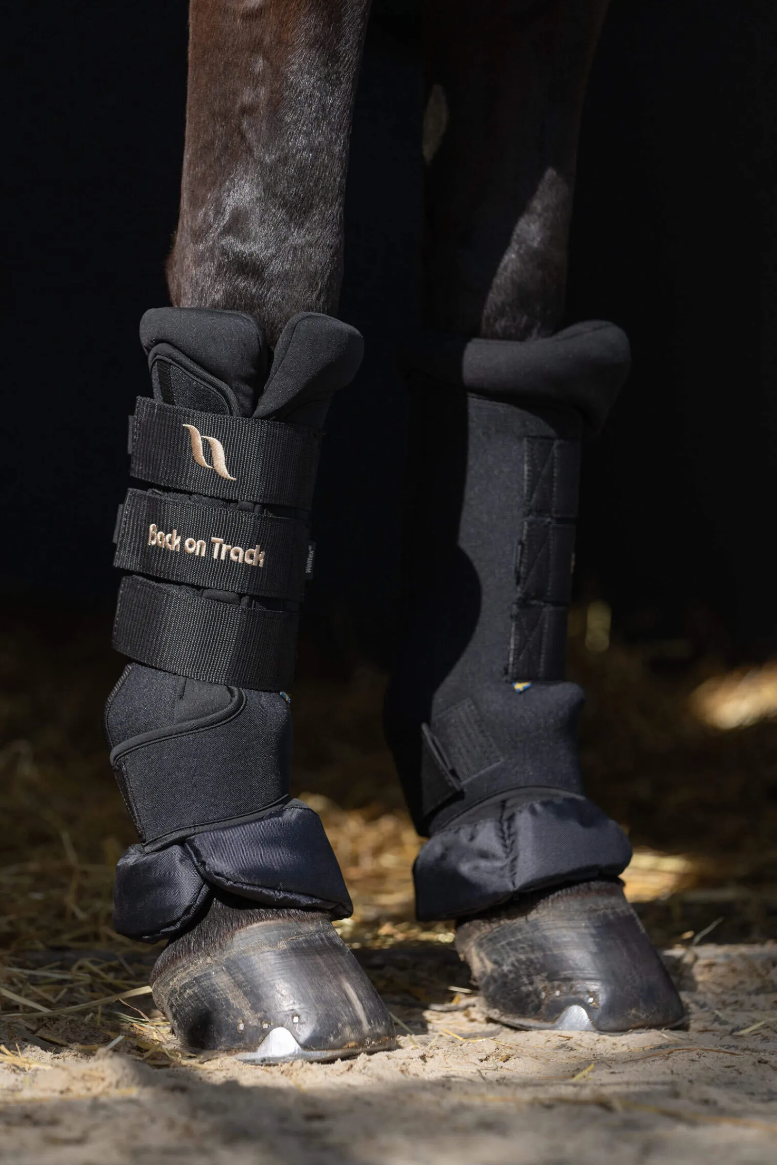 Discount Back On Track Quick Royal Leg Wraps Horse Boots