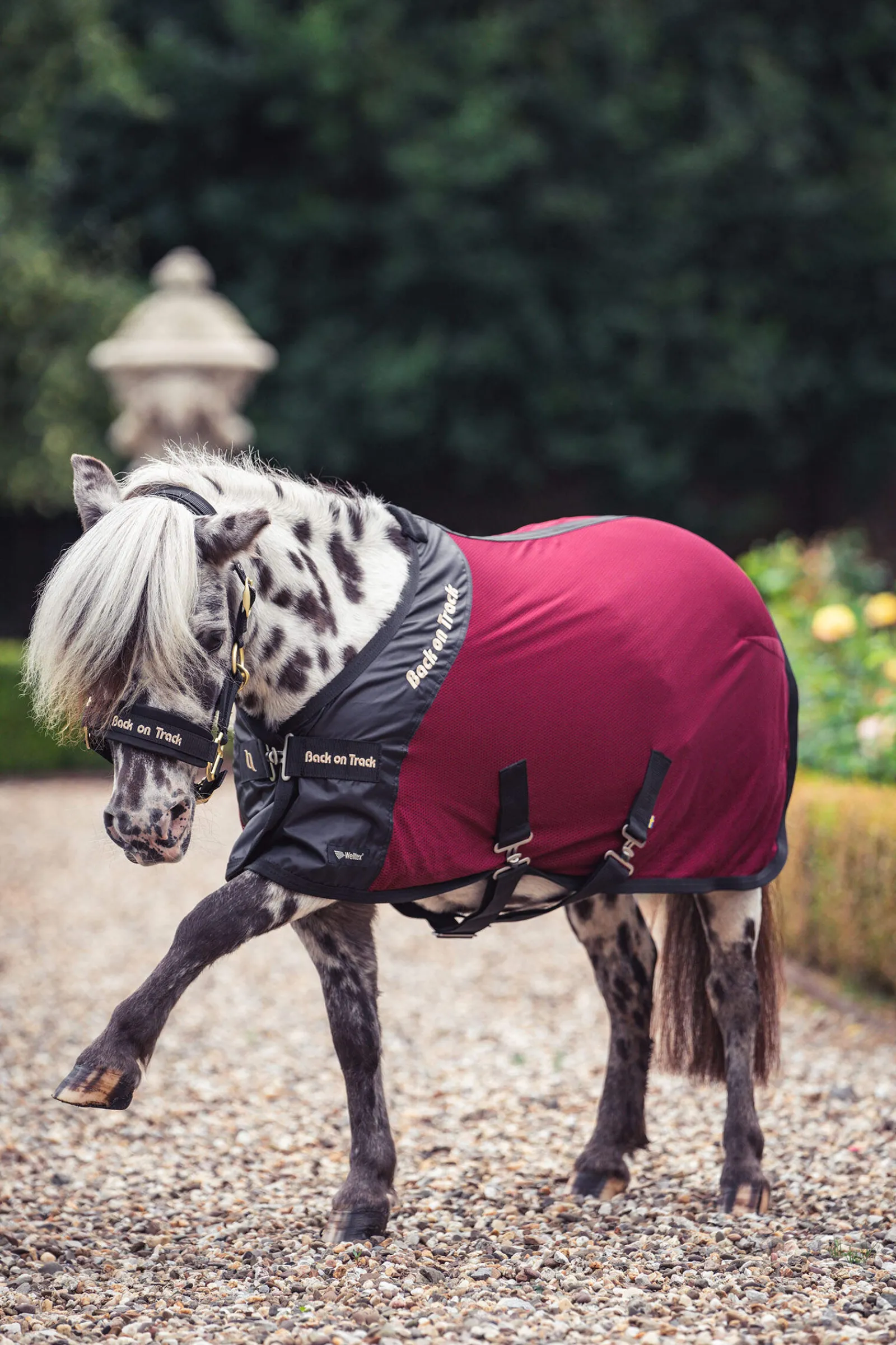 Discount Back on Track Royal Pony Mesh Rug Deluxe Pony Rugs|Pony Rugs
