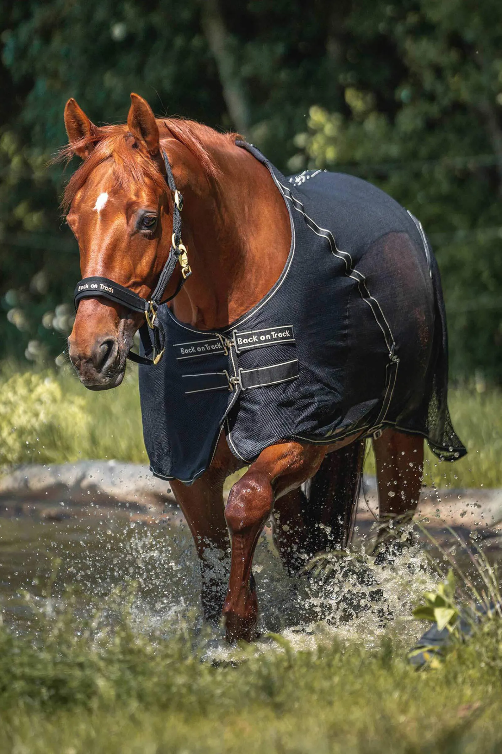 New Back on Track Sienna Cooler Fleece Horse Rugs & Cooler Rugs