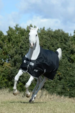 Outlet Anniversary SD Light Rain Turnout Rug, 0g Lightweight Turnout Rugs