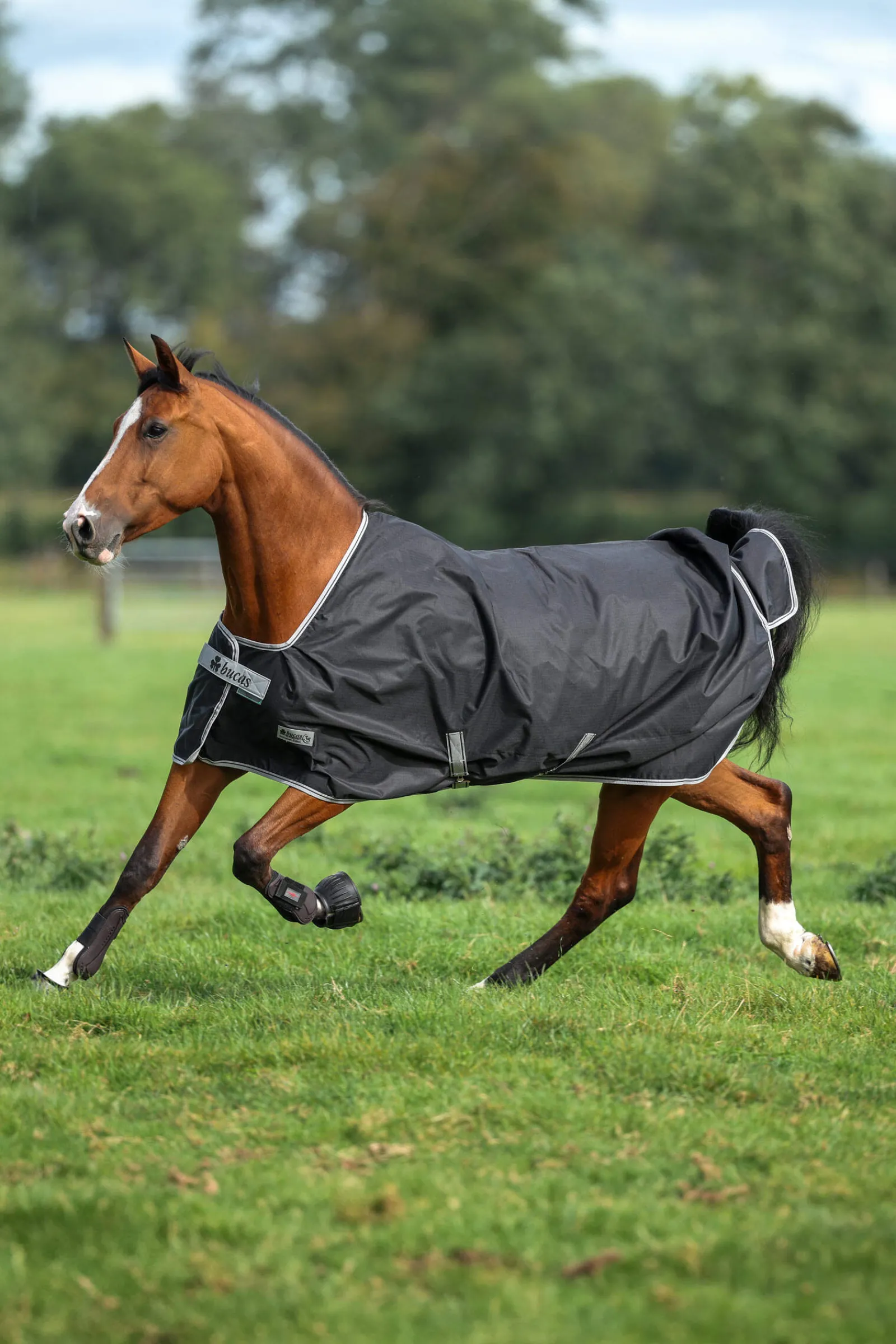 Sale Anniversary SF Light Rain Turnout Rug, 50g Lightweight Turnout Rugs