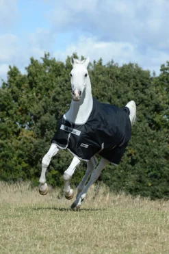 Sale Anniversary SF Light Rain Turnout Rug, 50g Lightweight Turnout Rugs