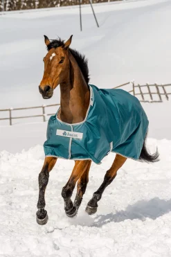 Best Atlantic Turnout Rug, 200g Medium & Heavyweight Turnout Rugs