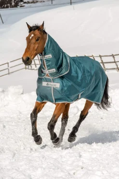 Best Atlantic Turnout Rug, 200g Medium & Heavyweight Turnout Rugs