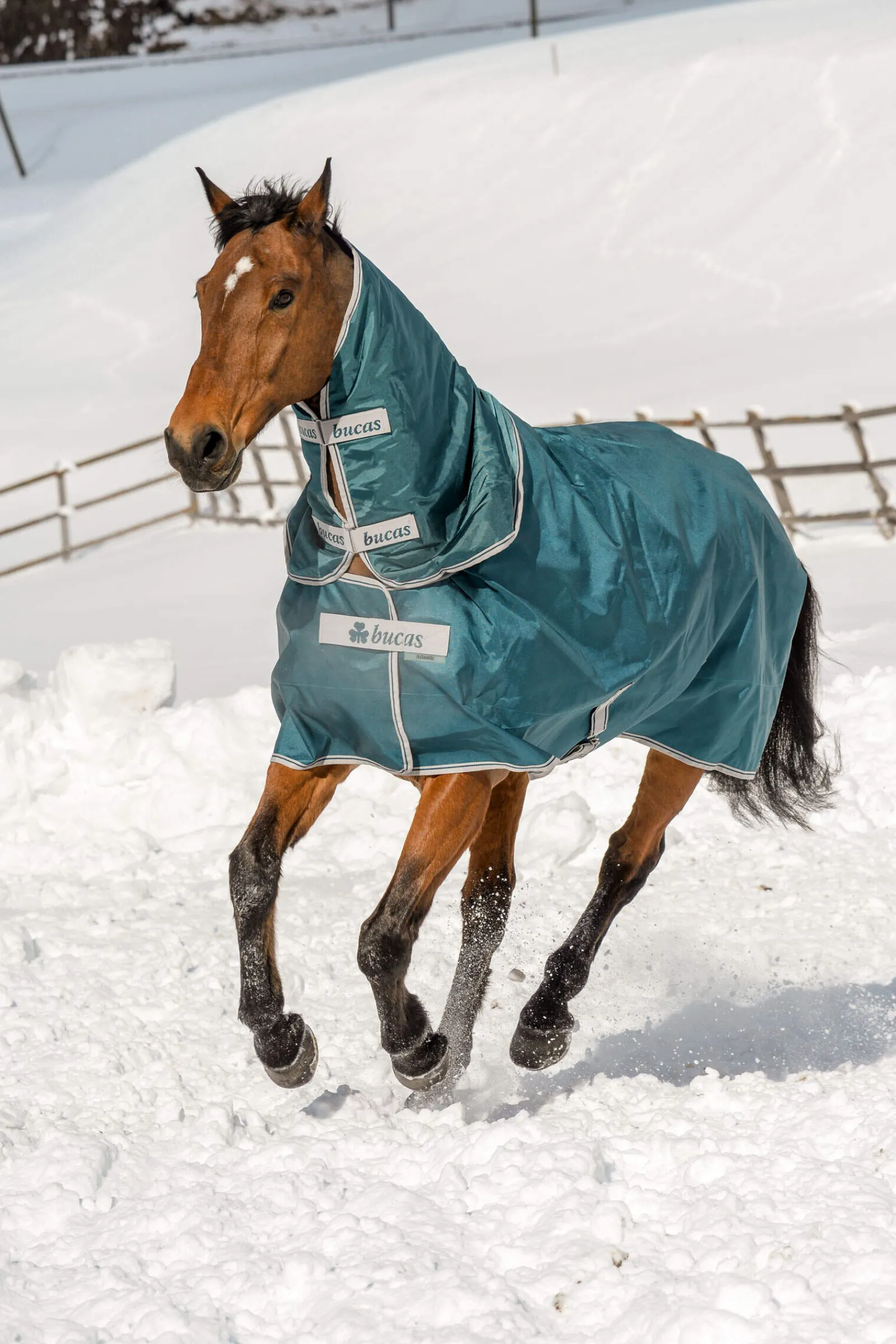 Best Atlantic Turnout Rug, 200g Medium & Heavyweight Turnout Rugs