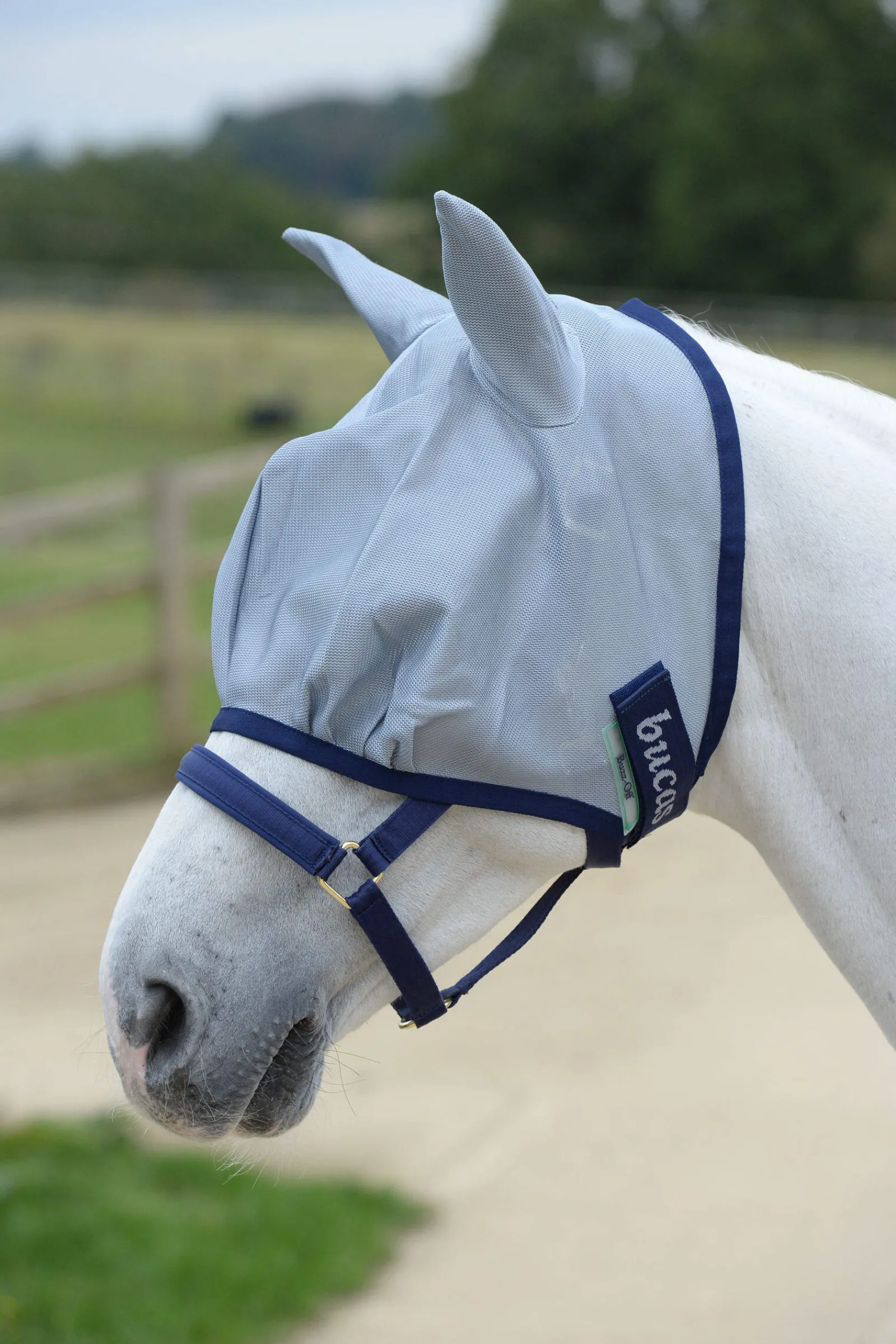Online Buzz-Off Fly Mask Fly Masks & Fringes|Fly Masks & Fringes