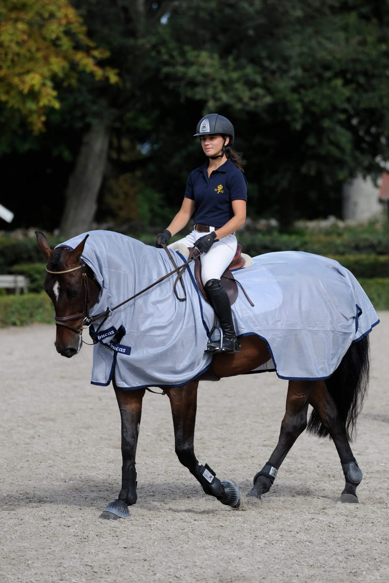 New Buzz-Off Riding Rug Fly Rugs|Fly Rugs