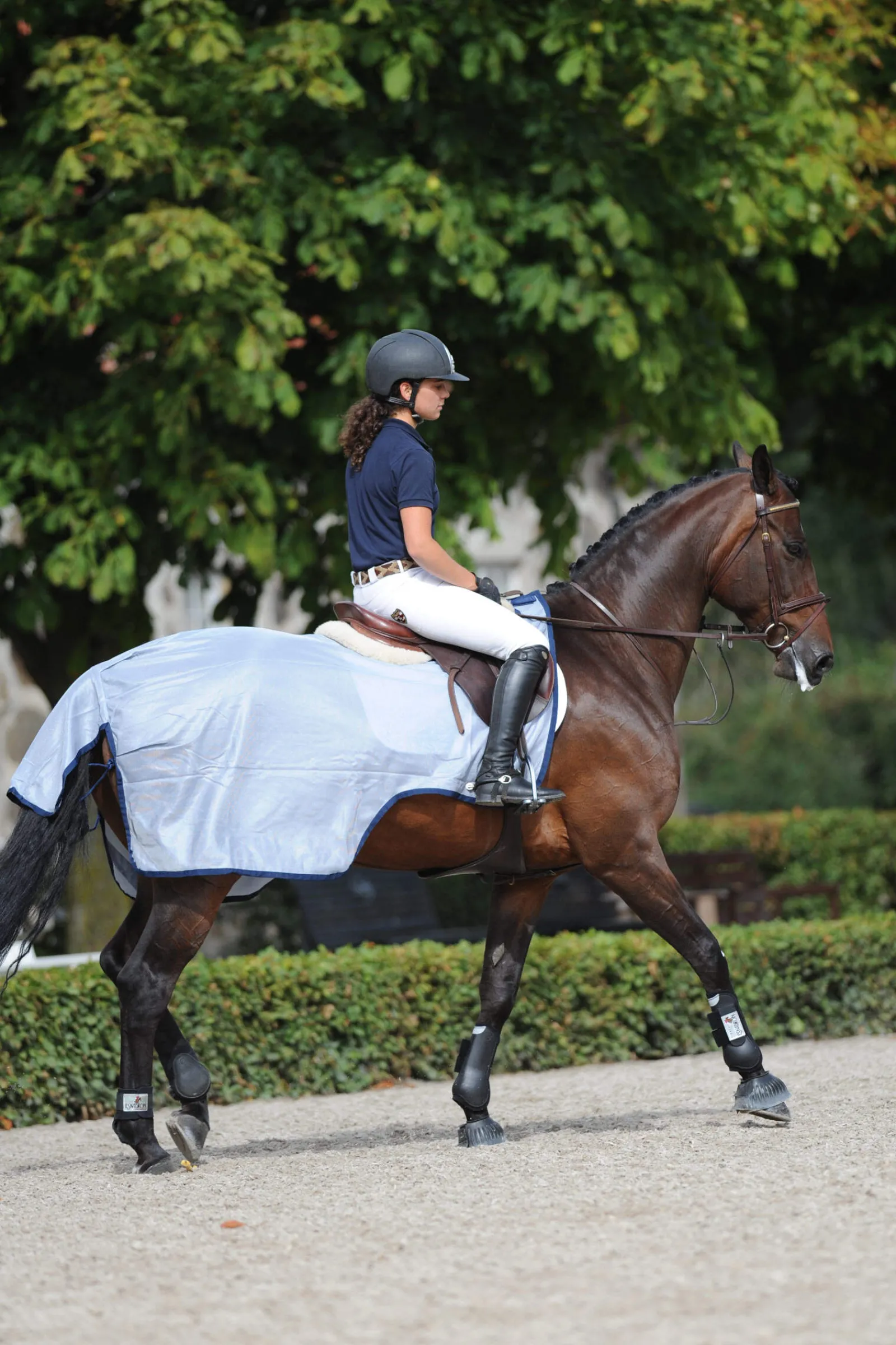New Buzz-Off Riding Rug Fly Rugs|Fly Rugs