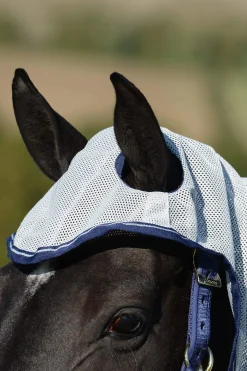 Discount Buzz-Off X Big Neck Fly Rug With Fixed Neck Fly Rugs|Fly Rugs