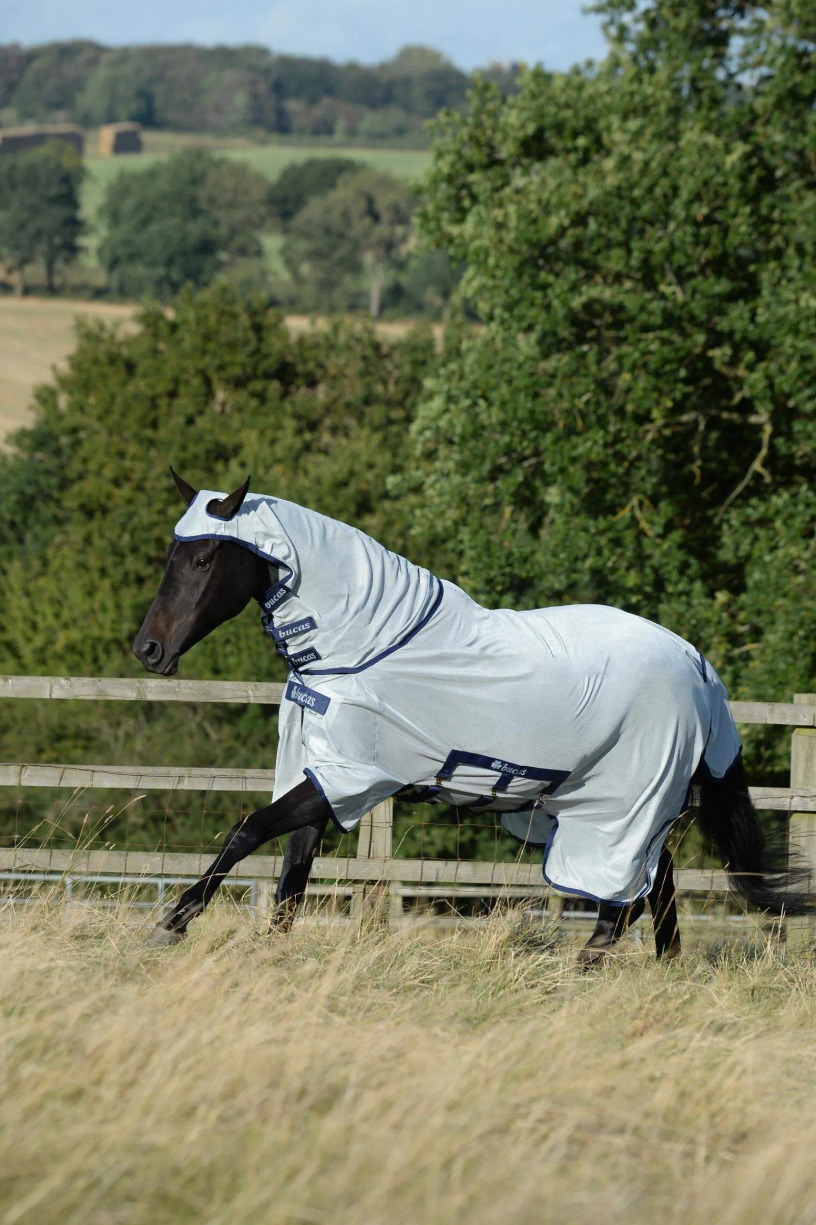 Fashion Buzz-Off X-light Full Neck Fly Rug With Fixed Neck Fly Rugs|Fly Rugs