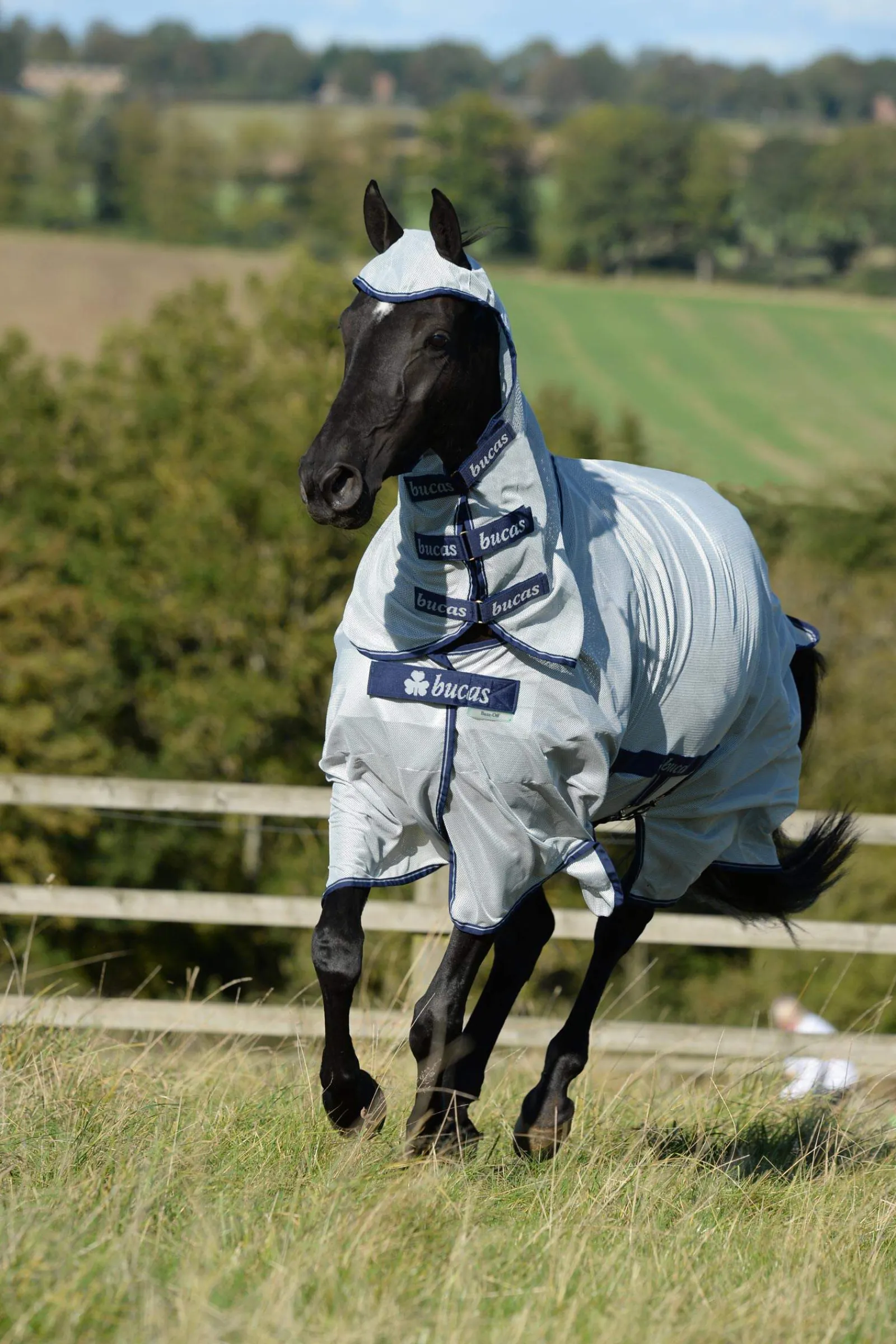 Fashion Buzz-Off X-light Full Neck Fly Rug With Fixed Neck Fly Rugs|Fly Rugs